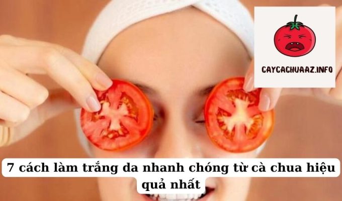 7 Cách Làm Trắng Da Từ Cà Chua: Bí Quyết Đơn Giản Cho Làn Da Sáng Mịn